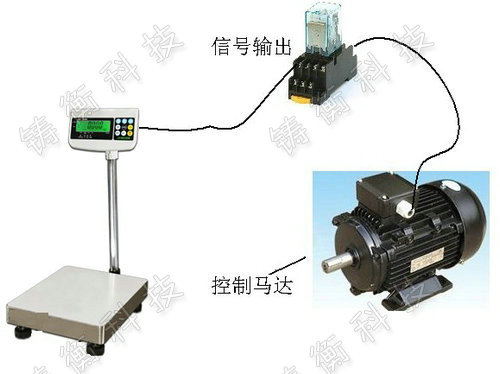 計重電子臺稱